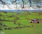 Campagne du Devon, Grande Bretagne