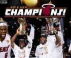 Miami Heat Champion NBA de 2013