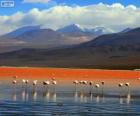 La Laguna Colorada, Bolivie