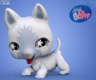 Chat de Littlest PetShop