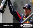 Sebastian Vettel célèbre sa victoire dans le Grand Prix de Belgique 2013