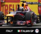 Sebastian Vettel célèbre sa victoire dans le Grand Prix d'Italie 2013
