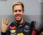 Sebastian Vettel, champion du monde de F1 2013, le quatrième titre mondial