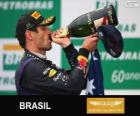 Mark Webber - Red Bull - Grand Prix du Brésil 2013, 2º classé