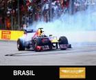 Sebastian Vettel célèbre sa victoire dans le Grand Prix du Brésil 2013