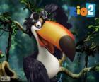 Rafael, le toucan