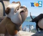 Luiz dans le film Rio 2