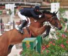 Cheval et cavalier passant un obstacle à un concours de saut