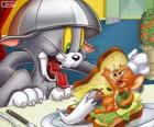 Tom et Jerry dans un autre de leurs conflits
