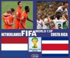 Pays-Bas - Costa Rica, quarts de finale, Brésil 2014