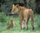 Lionne avec son petit