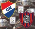 Club Nacional du Paraguay vs San Lorenzo de Almagro, de l'Argentine. Finale Copa Libertadores 2014