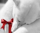 Ours polaire avec un cadeau