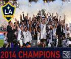 Los Angeles Galaxy, champion MLS 2014