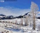 Lamar Valley, Parc National de Yellowstone, Wyoming, États-Unis