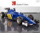 Équipe formée par Marcus Ericsson, Felipe Nasr et la nouvelle Sauber C34