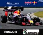 Daniel Ricciardo G.P Hongrie 15