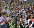 River Plate, Copa Libertadores 15