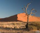 Désert du Namib, Namibie