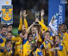 Tigres UANL, Mexique 2015