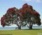 Deux arbres