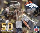 Broncos, champion Super Bowl 2016