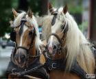 Chevaux de trait