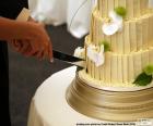 La mariée et le marié couper le mariage gâteau
