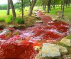 Paysage avec une rivière rouge