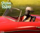 Shaun conduire une voiture