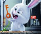 Snowball, un lapin blanc