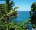 La mer d’une île tropicale