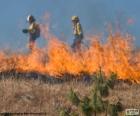 Deux pompiers, incendie