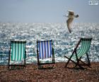 Chaises et mouette