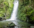 Chute d’eau et la mousse