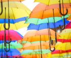 Parapluie de couleurs