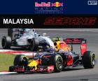 M.Verstappen, GP de Malaisie 2016