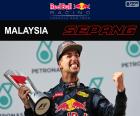 Daniel Ricciardo, fête sa victoire dans le Grand Prix de Malaisie 2016