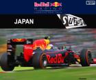 Max Verstappen, GP du Japon 2016