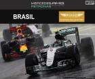 Nico Rosberg, GP Brésil 2016