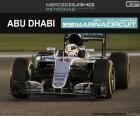 Lewis Hamilton obtient sa 10e victoire de la saison au Grand Prix d’Abou Dabi 2016. Deuxième place Championnat