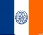 Drapeau de New York