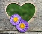 Un coeur coupé en bois et deux belles fleurs mauves pour Valentin