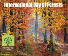 Journée internationale des forêts