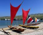 Canots de voiliers traditionnels originaires des îles de l’océan Pacifique