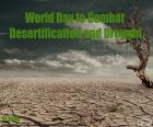 Journée mondiale de lutte contre la désertification