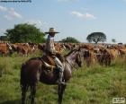 Gaucho à cheval