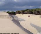 Les dunes envahissent la route, complètement recouverte de sable