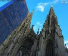 Cathédrale Saint-Patrick à New York