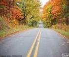 Un chemin dans le paysage d’automne